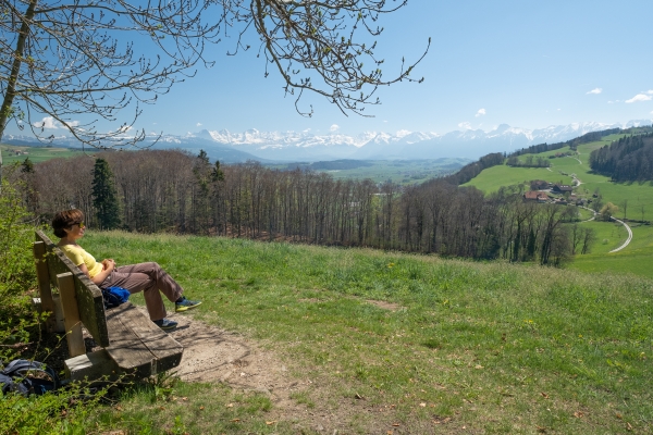 Lungo il sentiero alto della valle della Gürbe