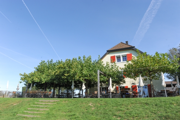 Im Jorat-Wald über Lausanne