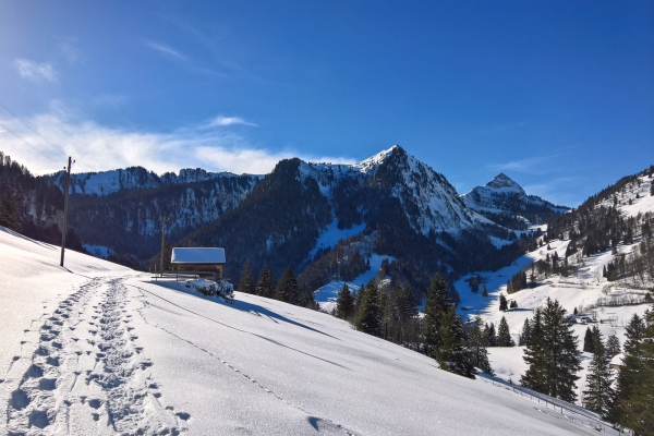 Journée d’hiver en Haute-Gruyère