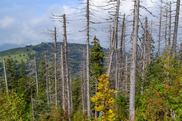 Vue sur les Mythen dans le canton de Schwyz