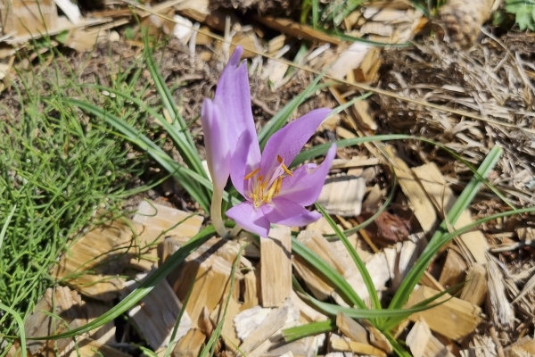 Boucle sur la Corbetta