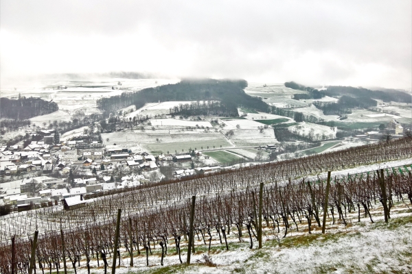 Durch das stille Schenkenbergtal