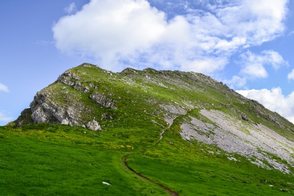 Par la vallée du Muscherenschlund