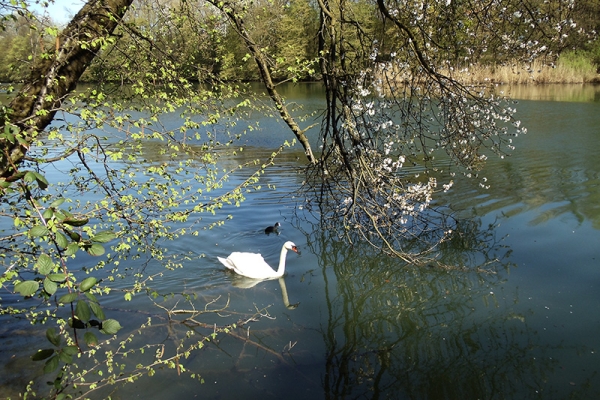 Flusswanderung 