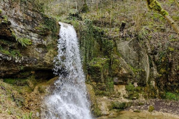 Gemütliche Wanderung durch den Regionalpark Aargau