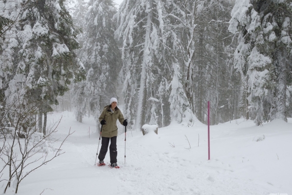 Belles vues lors d'un tour en raquettes dans le Jura