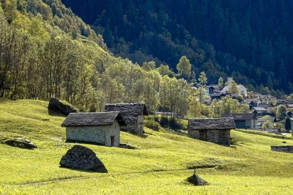 Le long de la Calancasca dans le Parco Val Calanca