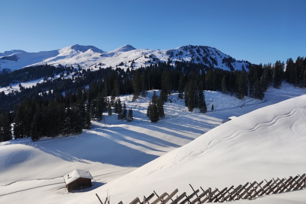 Schneeschuhweekend-  Auf unbekannten Wegen in Davos GR