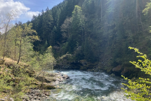 Randonnée dans la Vallée Onsernone: forêts et ruines tessinoises