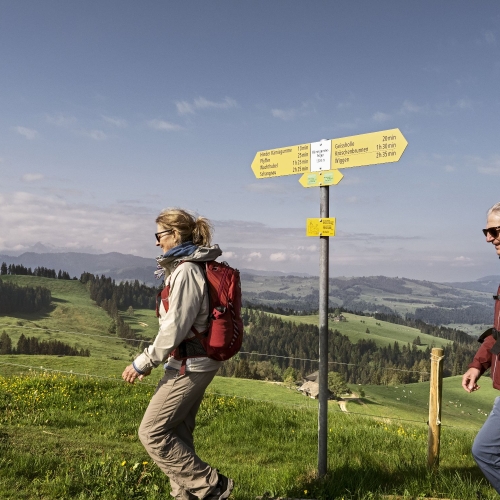 Wegweiser Rämisgummehoger BE/LU