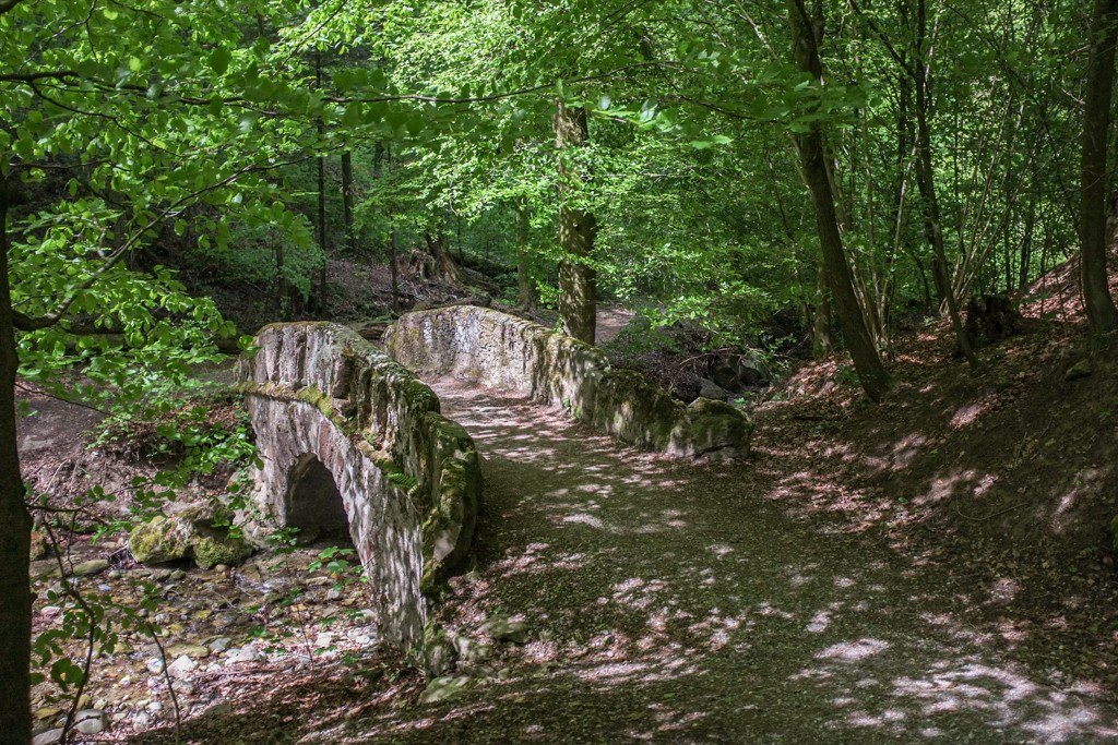 Der Weg entlang des Elefantenbachs führt über kleine Brücken. Bild: Claudia Peter