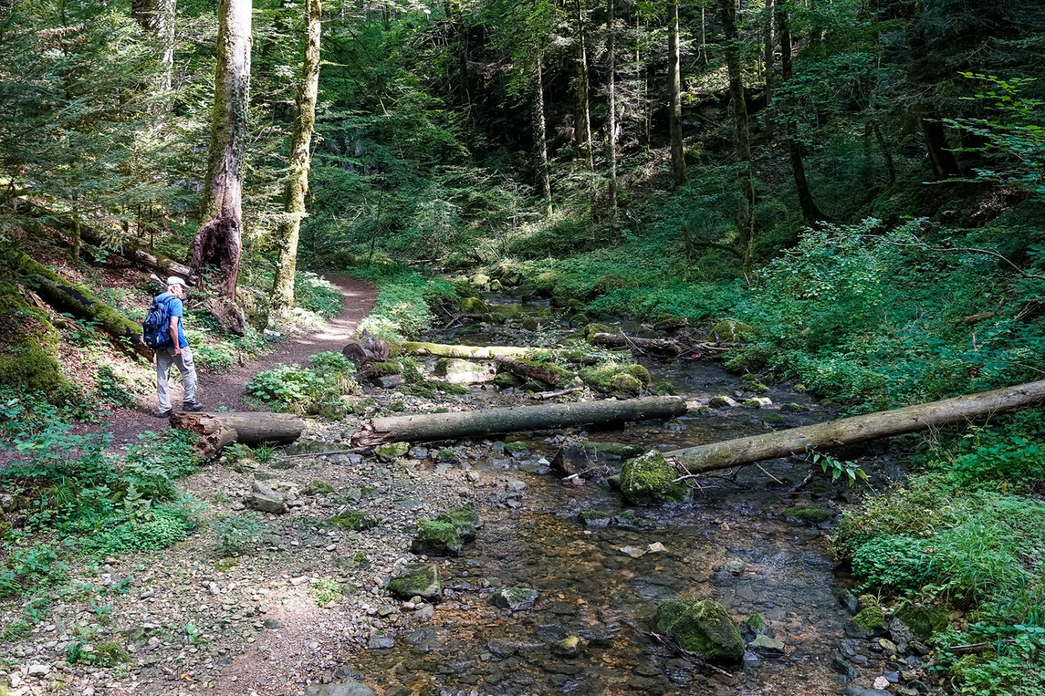 Le sentier sauvage et romantique traverse la vallée de Kaltbrunnen entre Ibach et Felsen. Photos : Fredy Joss