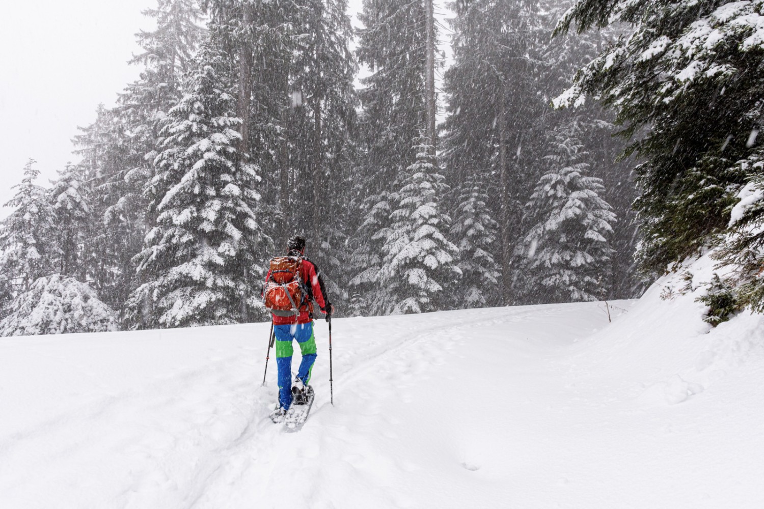 Même sous les flocons, cette randonnée est un vrai plaisir. Photo: Franz Ulrich