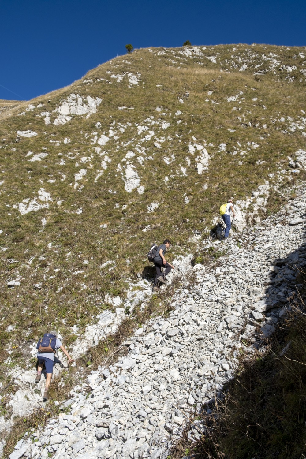 Le couloir montant vers un pâturage à moutons est équipé d’une chaîne. Photo: Markus Ruff