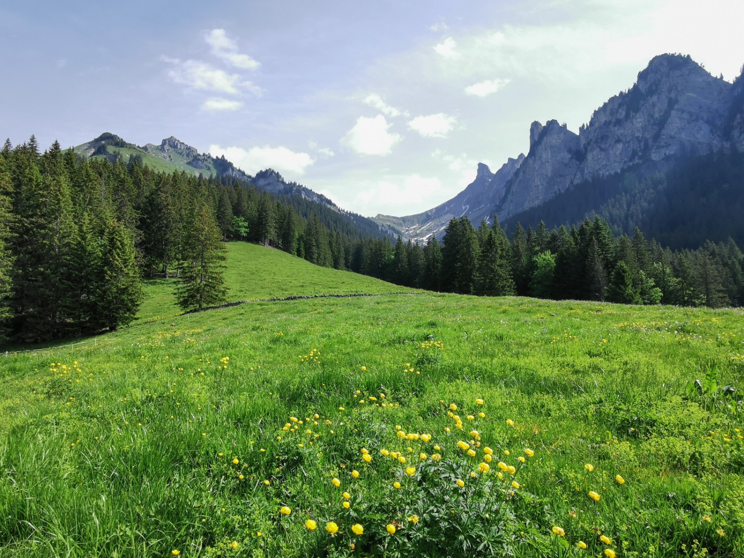 Une autre vue grandiose depuis Schwand, en direction de la Schynige Platte. Bild: Andreas Staeger