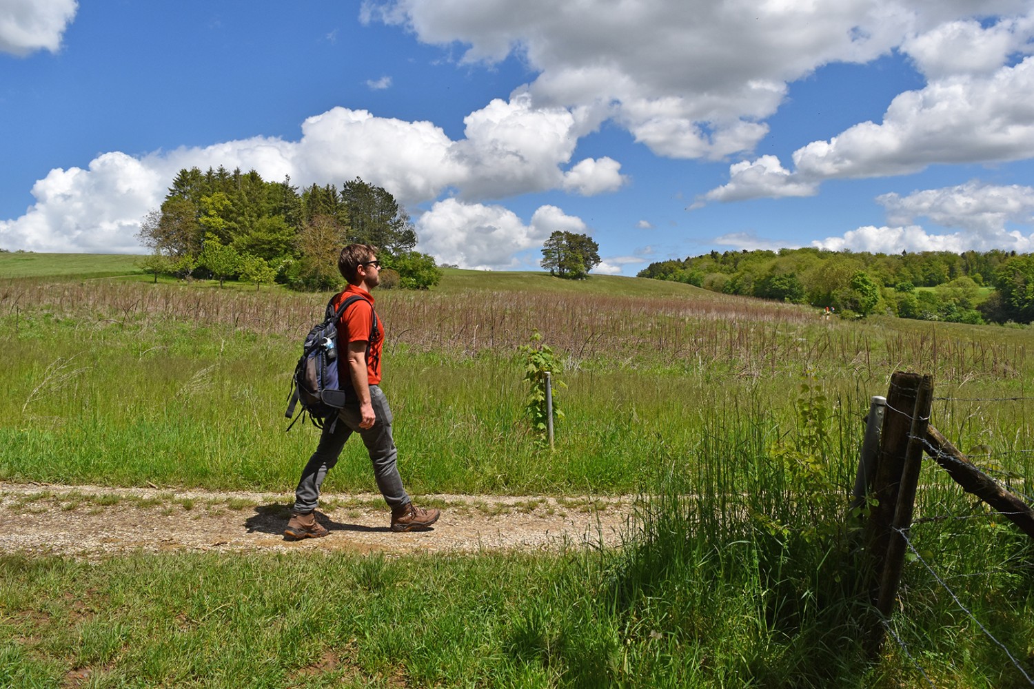 Respirer le bon air frais dans le paysage vallonné du Parc du Jura argovien. 