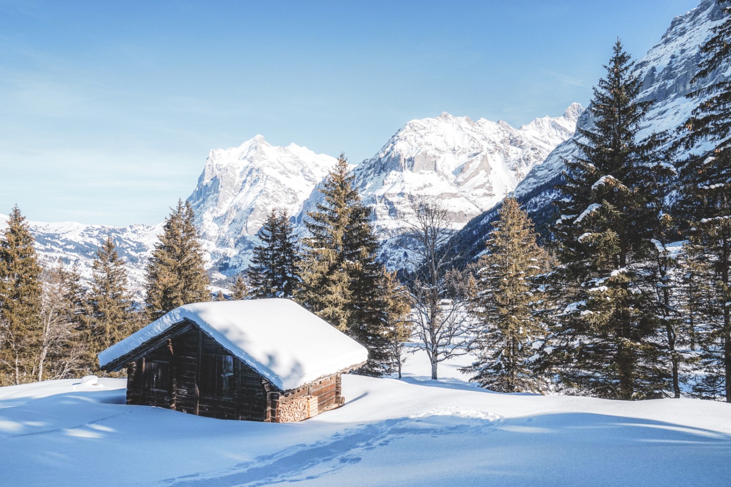 Kurz vor der Brandegg mit Blick zu Wetterhorn (links) und Schreckhorn (rechts noch knapp zu sehen). Bild: Fredy Joss