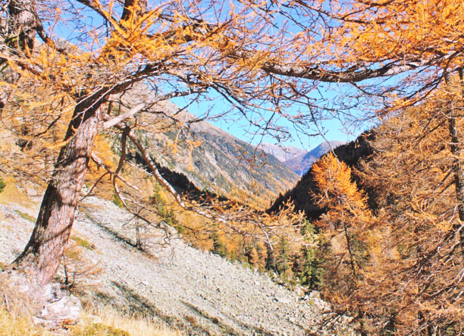 Im Aufstieg zur Fuorcla Crap Alv: Blick zurück ins Val Bever.