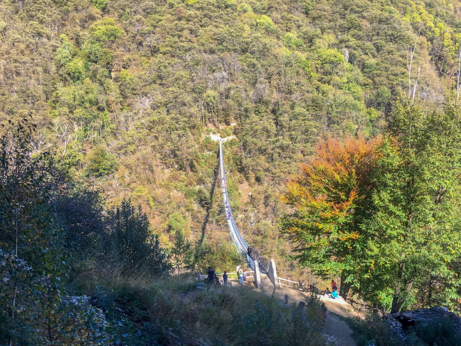 Tout à coup, les arbres se raréfient et permettent de découvrir le pont imposant. Photo: Claudia Peter
