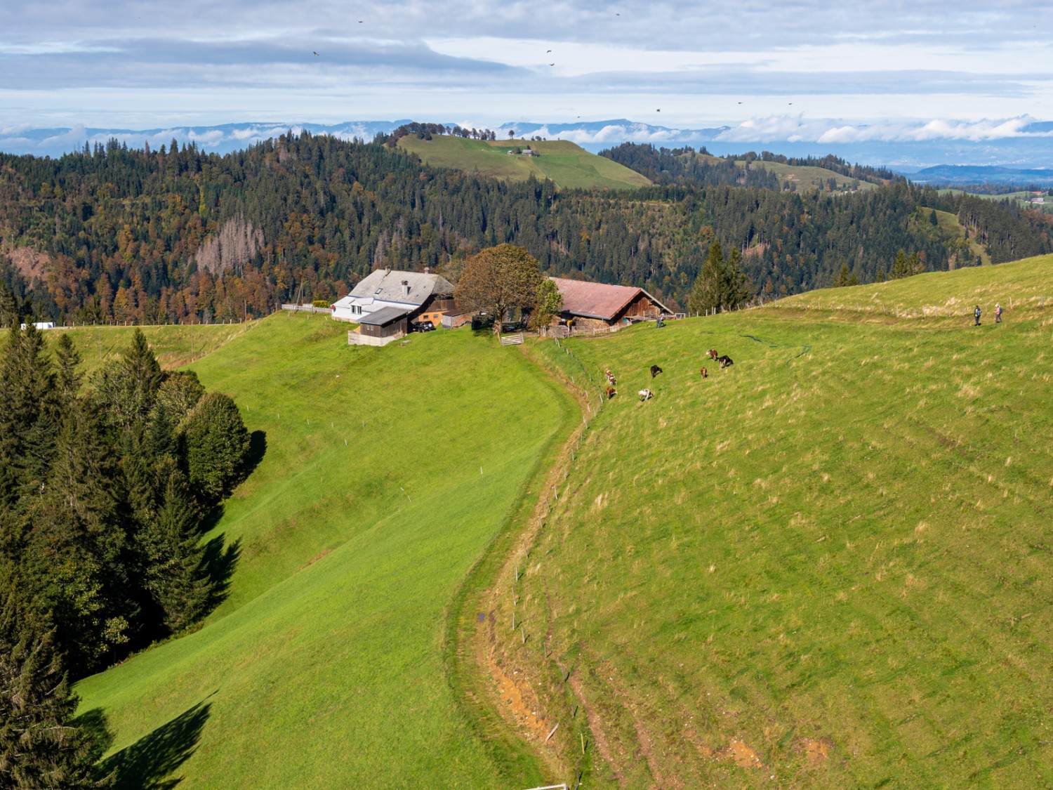 Wo heute noch die Kühe weiden, liegt bald Schnee. Bild: Franz Ulrich