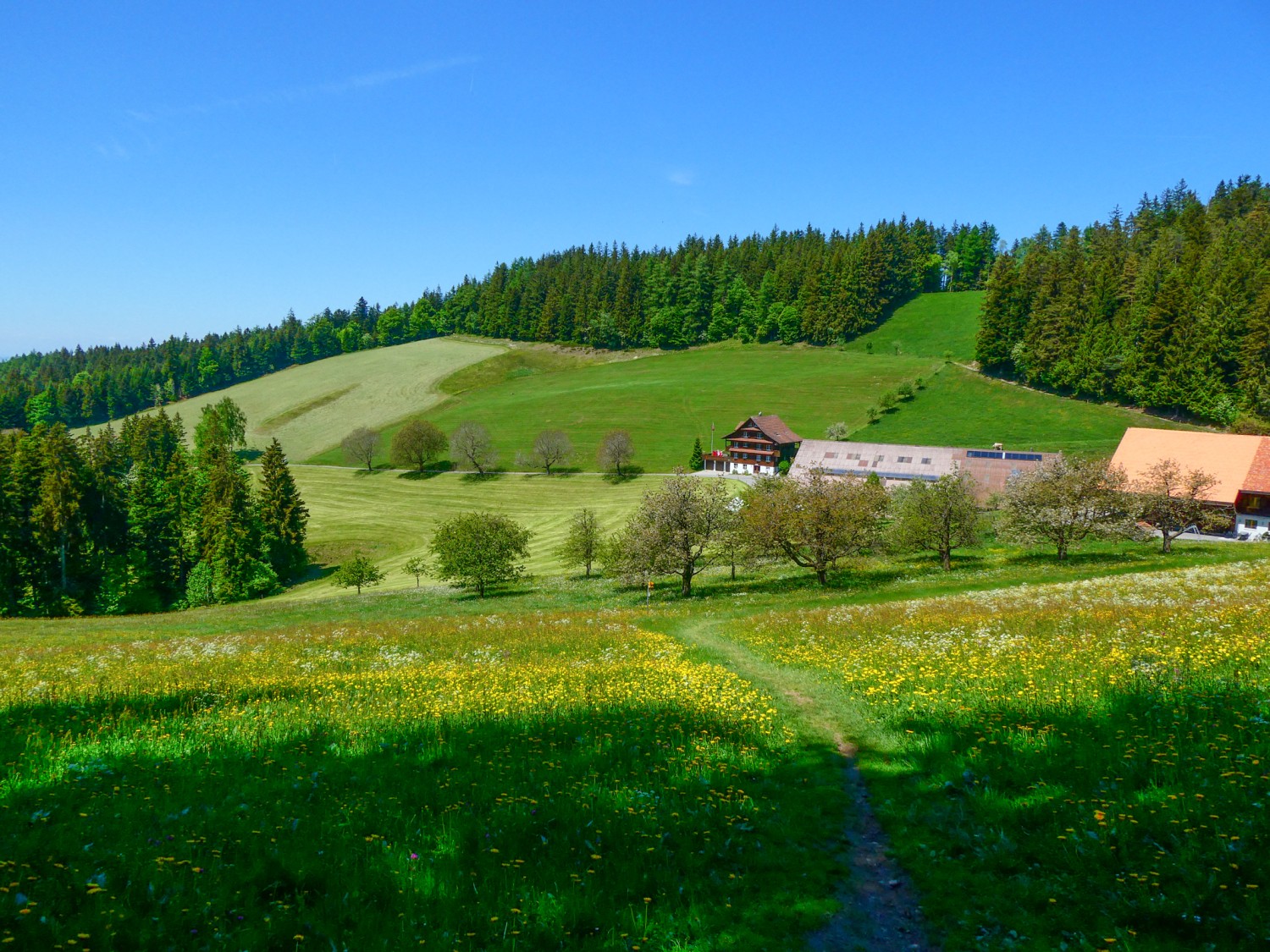 Charmant paysage printanier à Hintertann. Photo: Rémy Kappeler