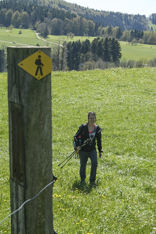 Peu avant le col des Rangiers.