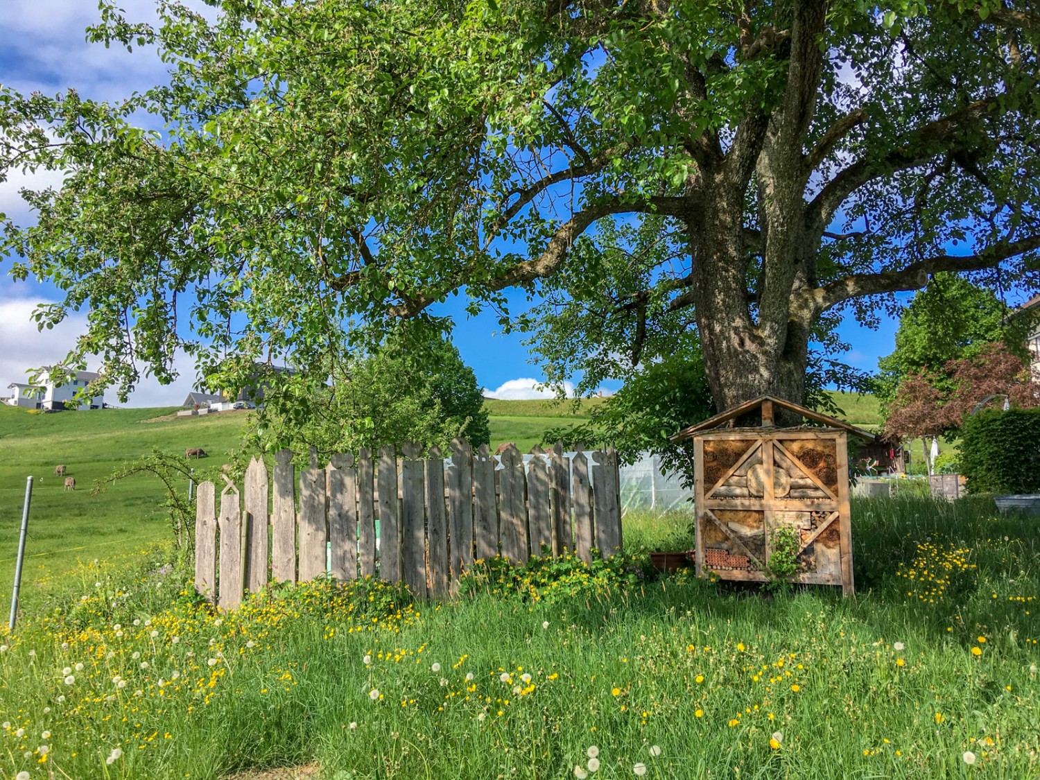 Wunderschöne Bauerngärten, hier mit Insektenhotel, finden sich entlang des Weges. Bild: Claudia Peter