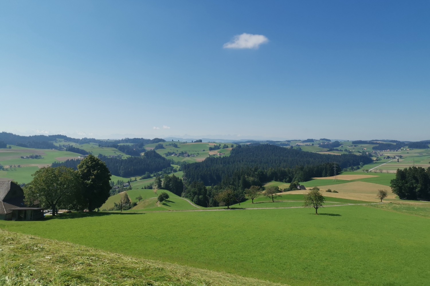 La randonnée mène à travers la campagne vallonnée typique de l'Emmental.