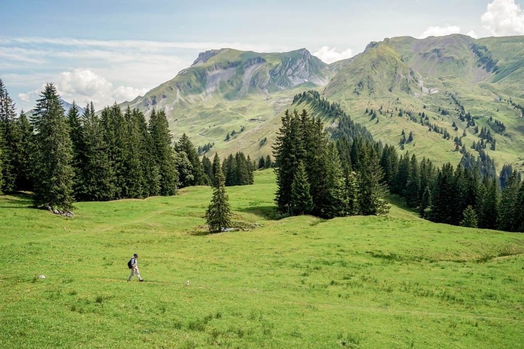 Blick von der Unteren Musenalp zu Schwalmis (links), Schinberg und Risetenstock. Bild: Fredy Joss