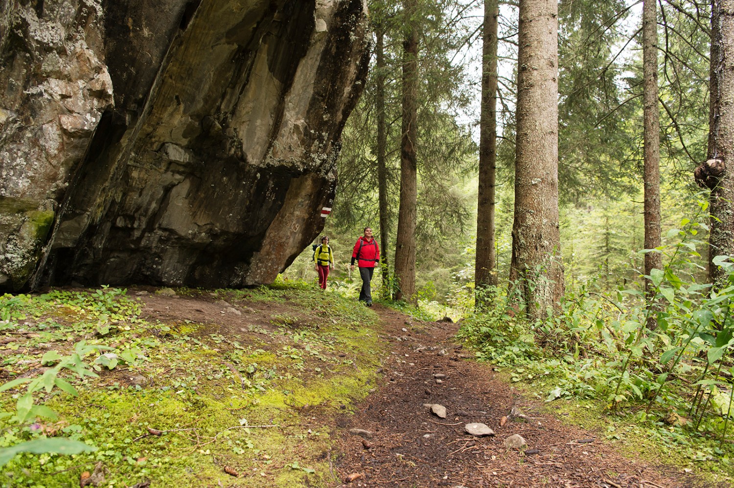 Vorbei an einem mächtigen Findling geht es hinauf zur Hütte. Bilder: Raja Läubli