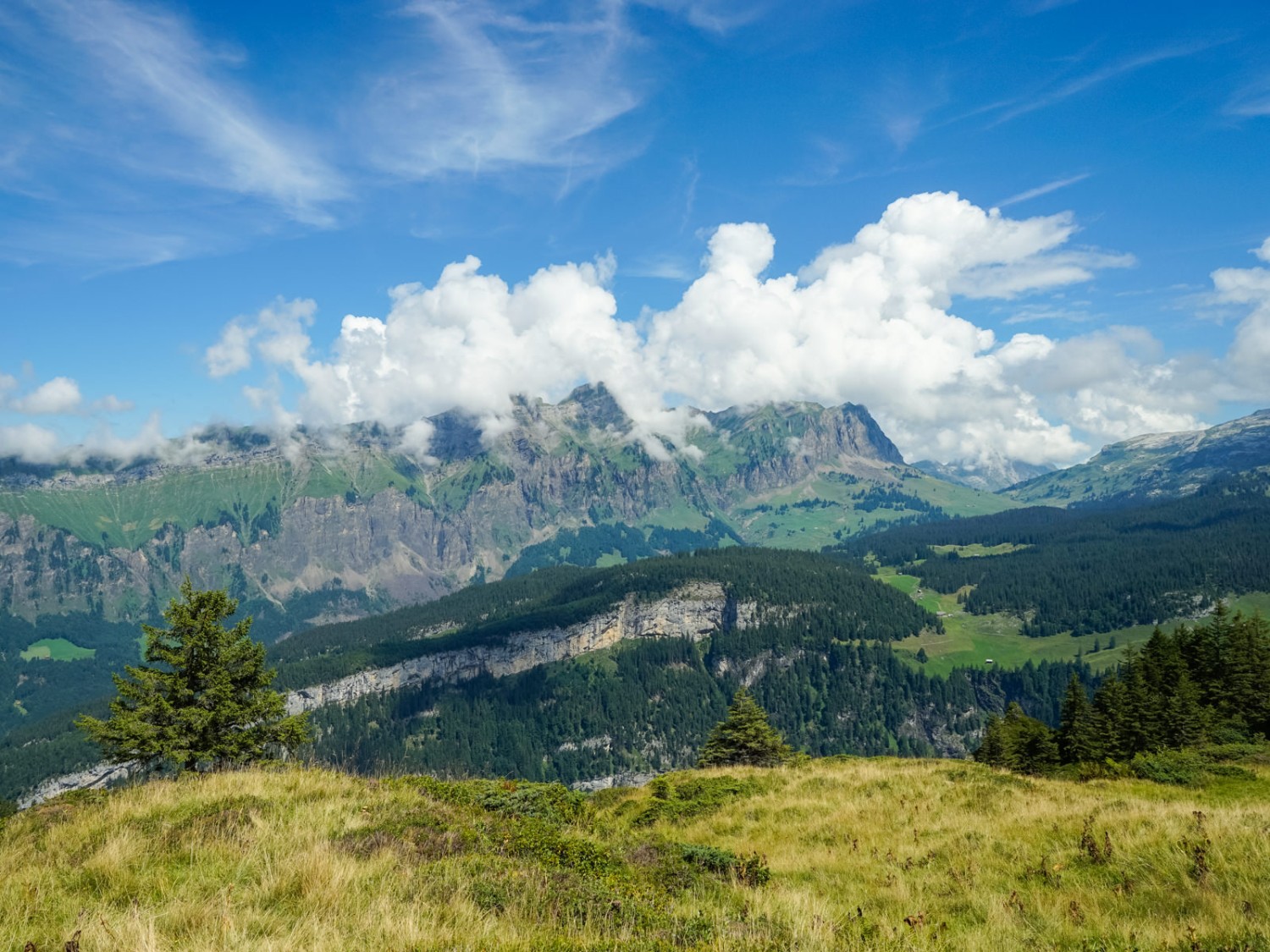 Plus très loin de la cabane de l’alpage Hinderist, on aperçoit le massif de Silberen, le col du Pragel (au milieu) et, à gauche, la chaîne de montagnes derrière laquelle se trouve Hoch-Ybrig. Photo: Fredy Joss