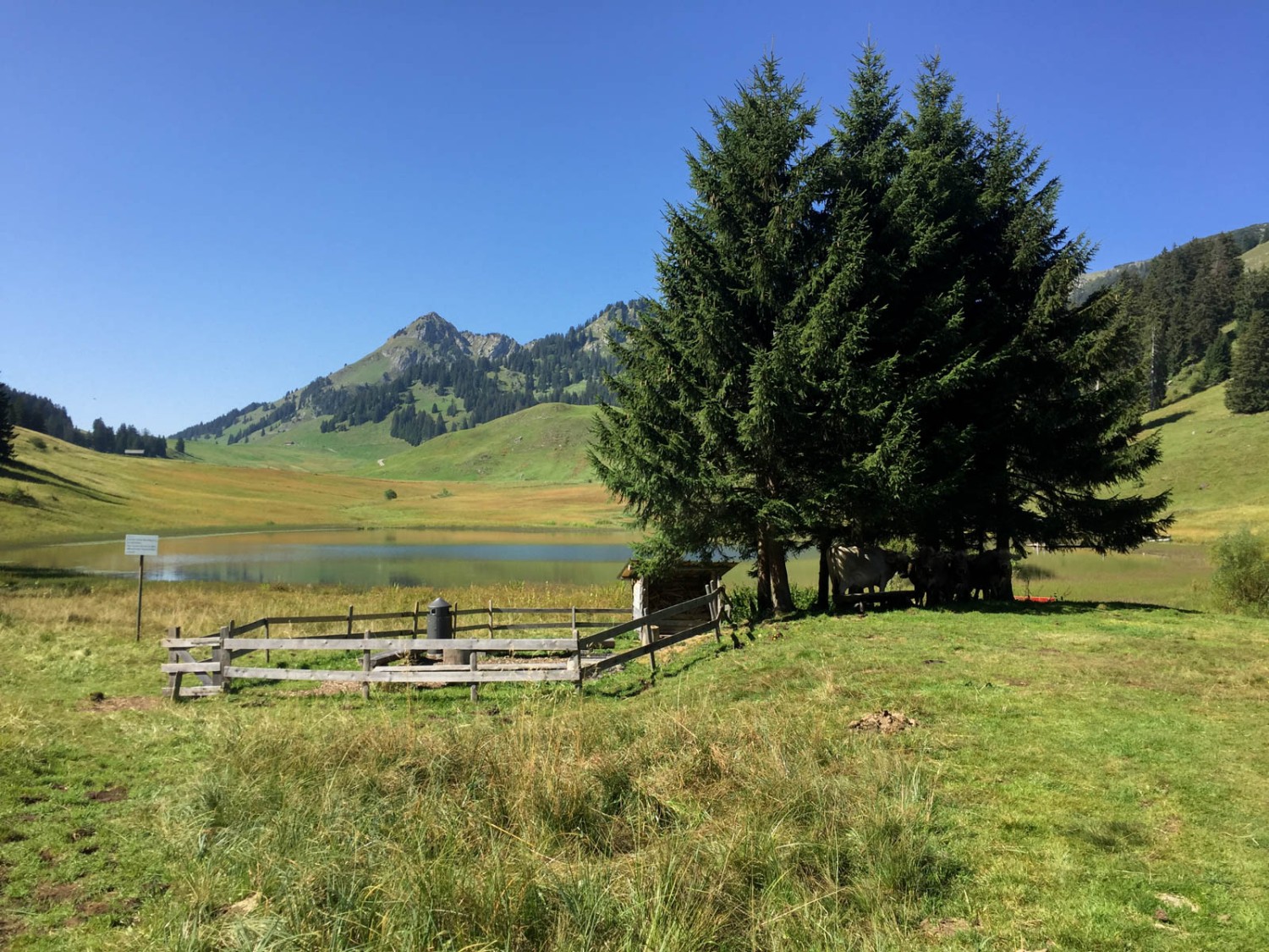 Am Gräppelensee lässt es sich gut und lange verweilen, ob im Wasser oder in den eingezäunten Picknickplätzen. Bild: Vera In-Albon