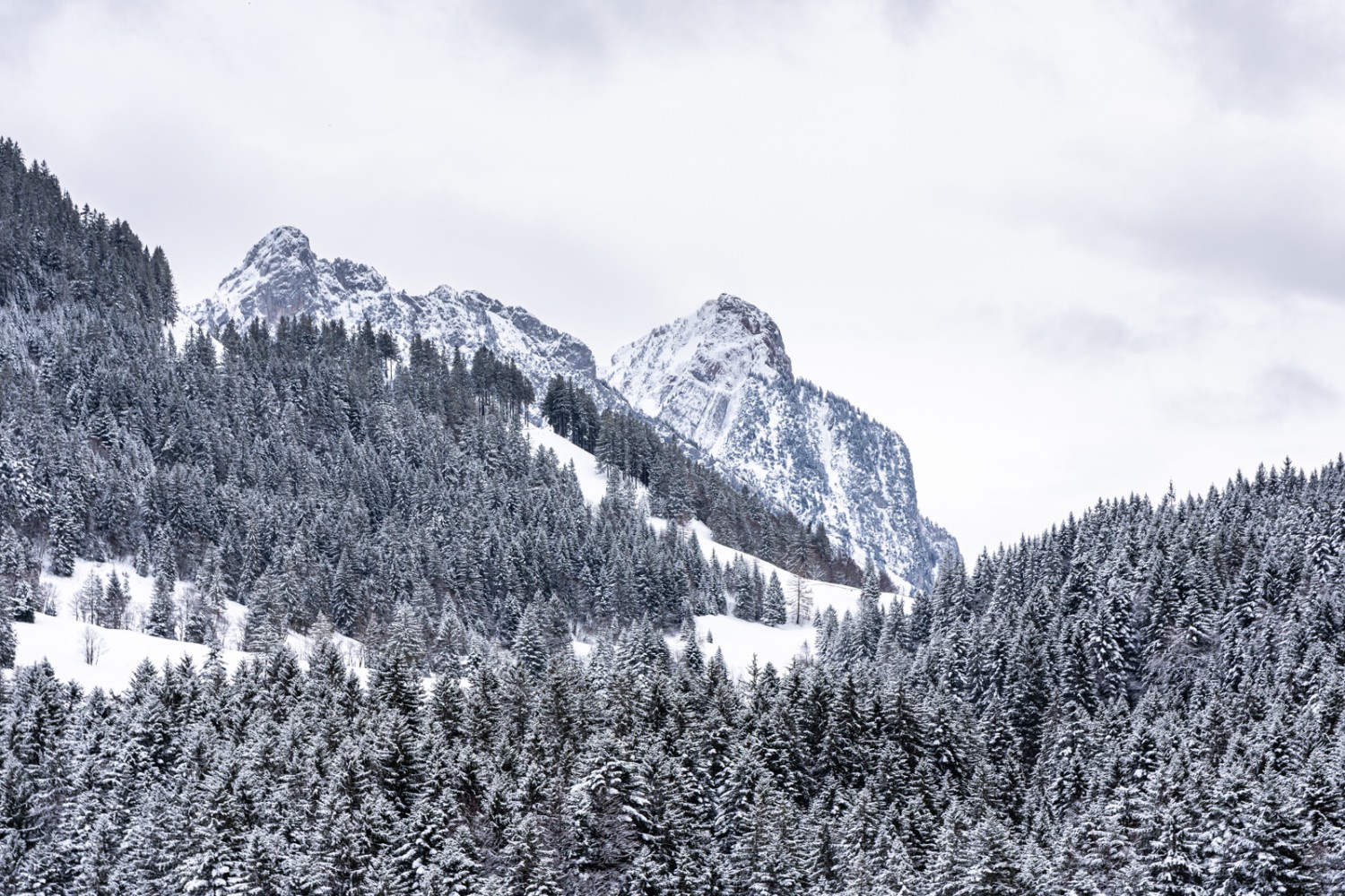 Derrière d’épaisses forêts trônent les Mythen. Photo: Franz Ulrich