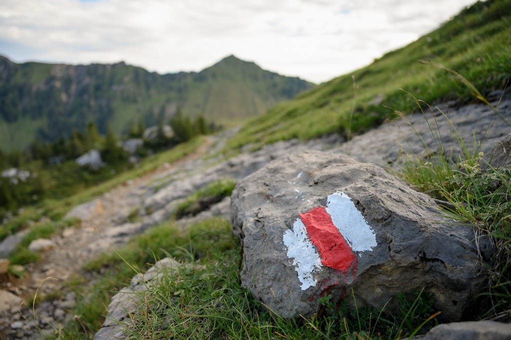 Die Bergwanderung verläuft stets entlang der weiss-rot-weissen Markierungen. Bild: Jon Guler