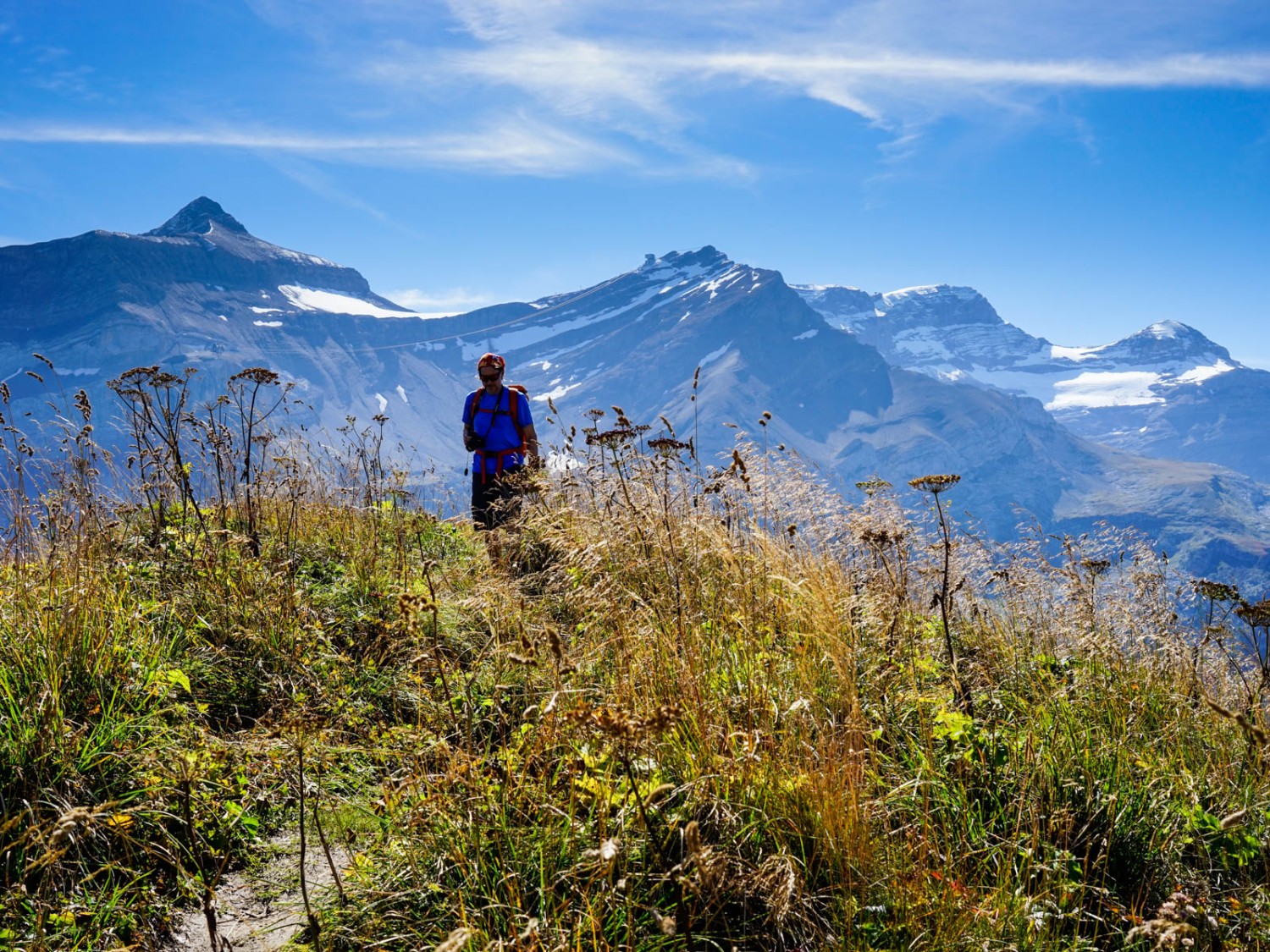 Le chemin sur la Palette mène vers le sommet à travers une végétation haute. Photo: Fredy Joss