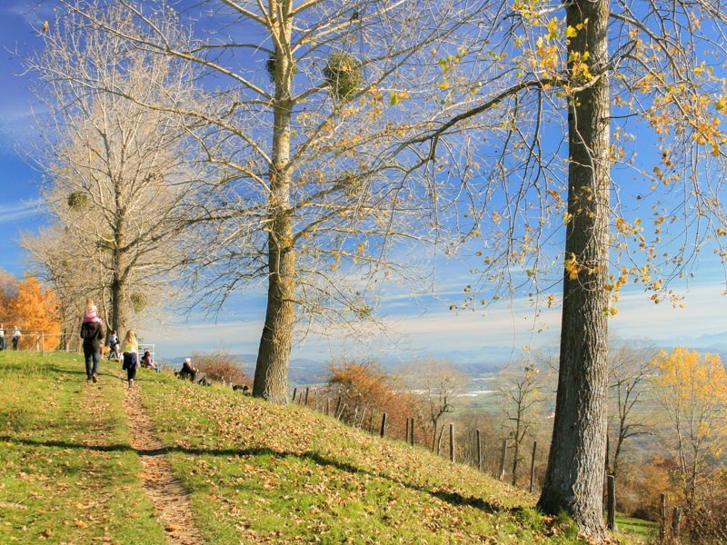 Le panorama à 360° sur le Mont Vully est magnifique. Photos: Camille Tissot