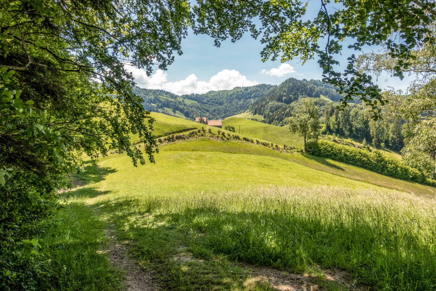 Entre Schwendi et Gruben, avec vue sur le col d’Alplisattel. Photo: Fredy Joss