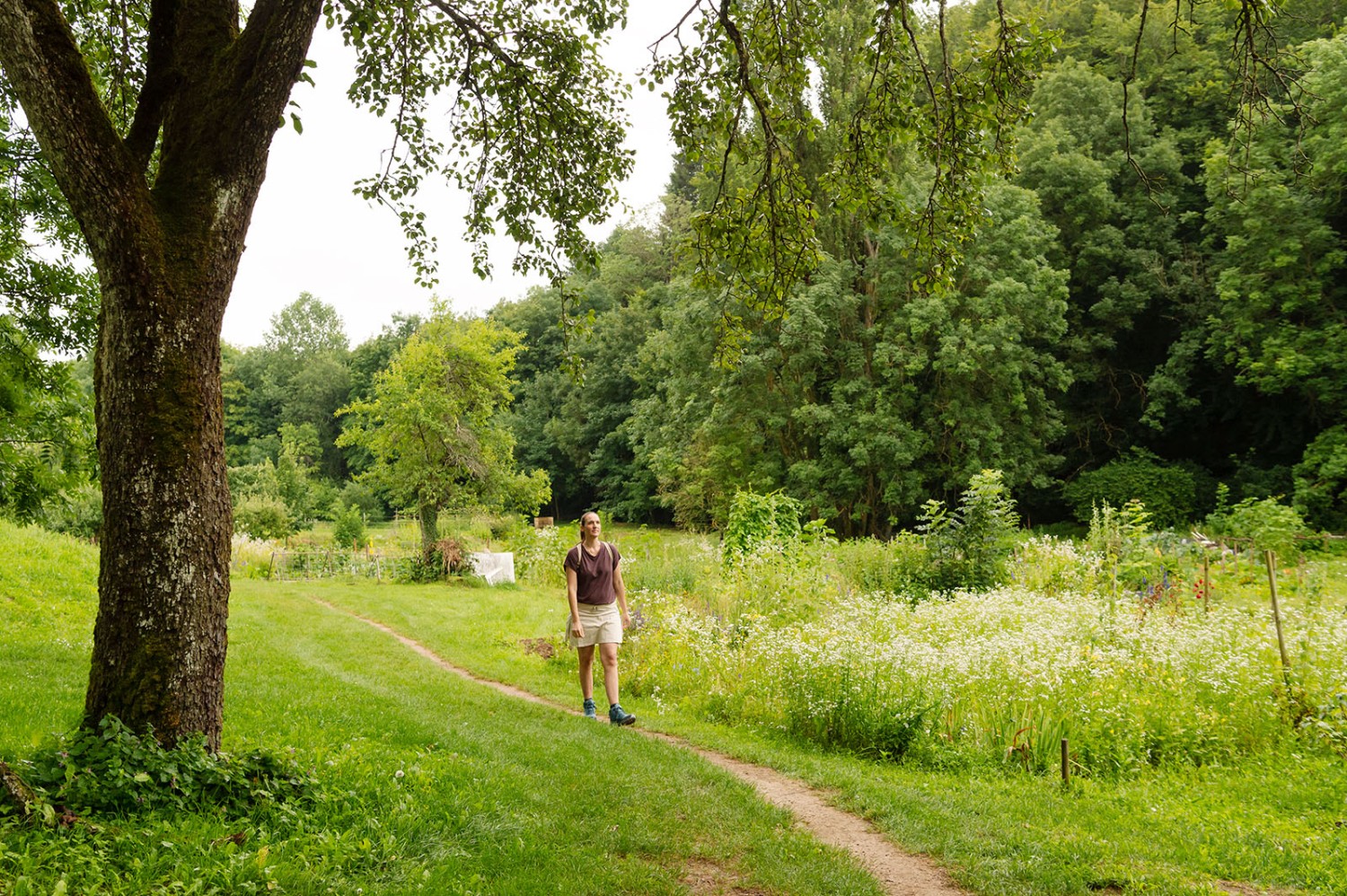 Le vert domine entre Romainmôtier et Croy. Photo: Raja Läubli