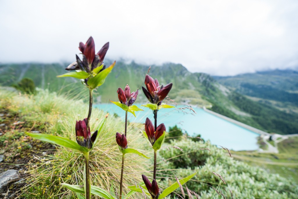 En hauteur, le long du bisse de Chervé, avec vue sur le lac de Cleuson. Photo: Wanderblondies