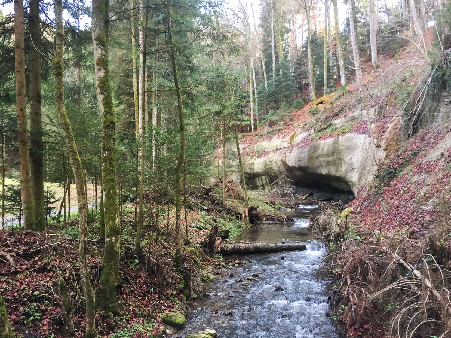 Parois calcaires au bord du ruisseau Scherlibach.