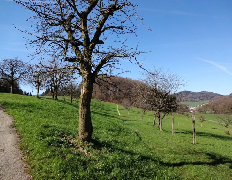 Le village de Bubendorf a peine quitté, la campagne bâloise prend tous ses droits.