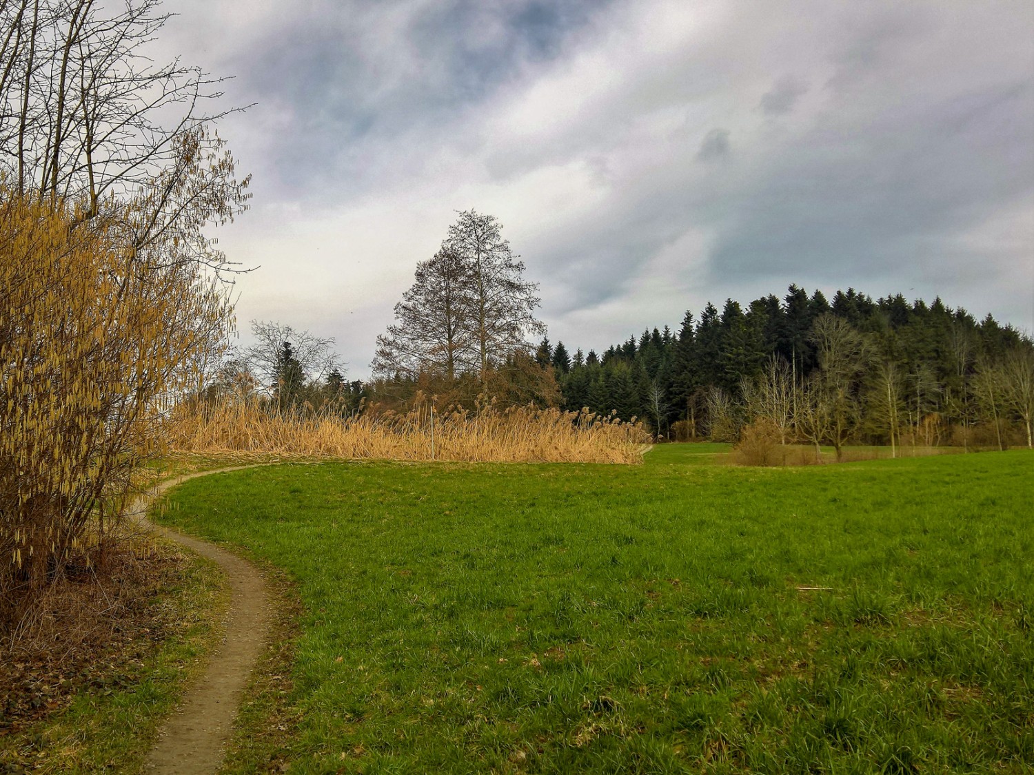 Auch im Winter lohnt sich diese Wanderung hier im Flachland… Bild: Andreas Staeger