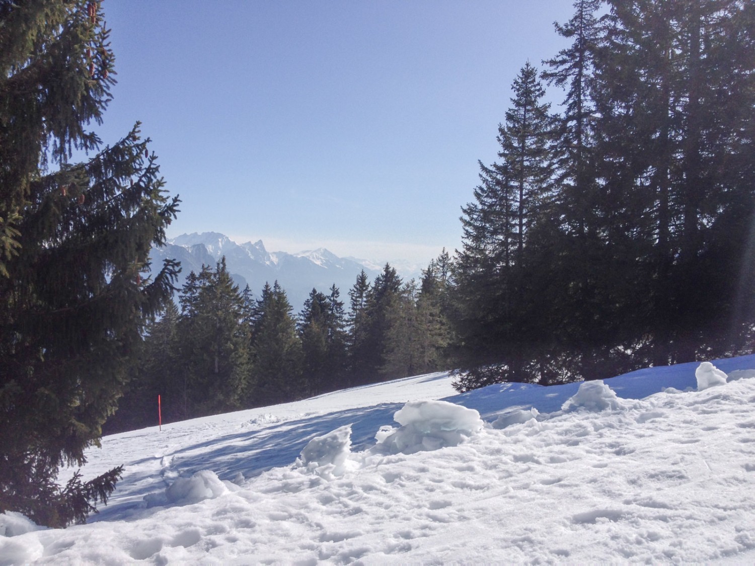 Immer wieder lichtet sich der Wald für Ausblicke ins Bergpanorama. Bild: Claudia Peter