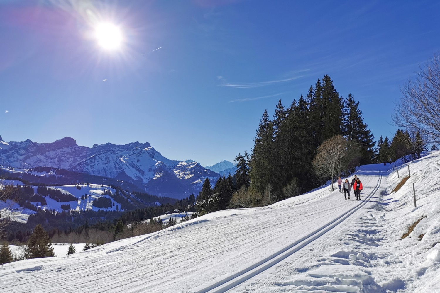 Bis zum Mont Blanc (in der Bildmitte) weitet sich die Sicht im zweiten Teil der Wanderung.
Bild: Andreas Staeger