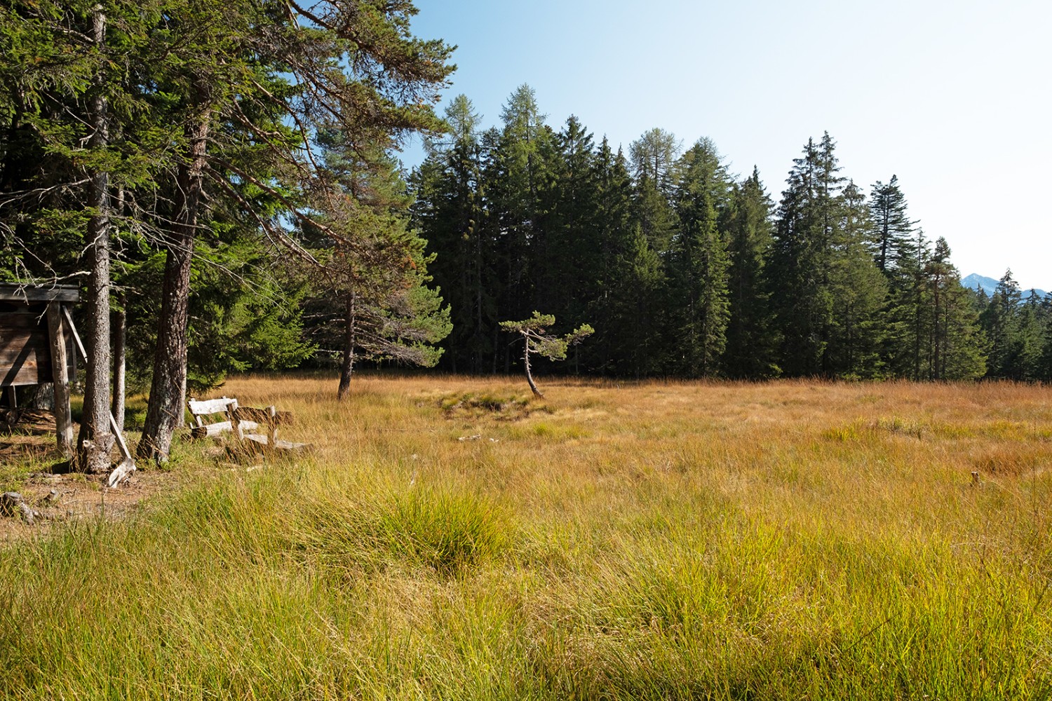 Ein weiterer Höhepunkt ist die Pian di Scignan, ein Hochmoor kurz vor Sta. Maria.