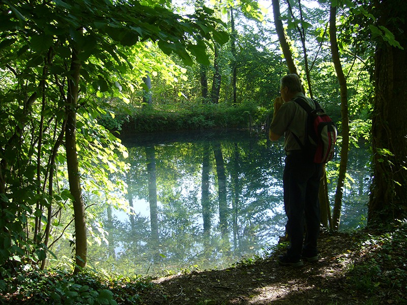 Courte pause dans un petit biotope. Photo: Werner Nef