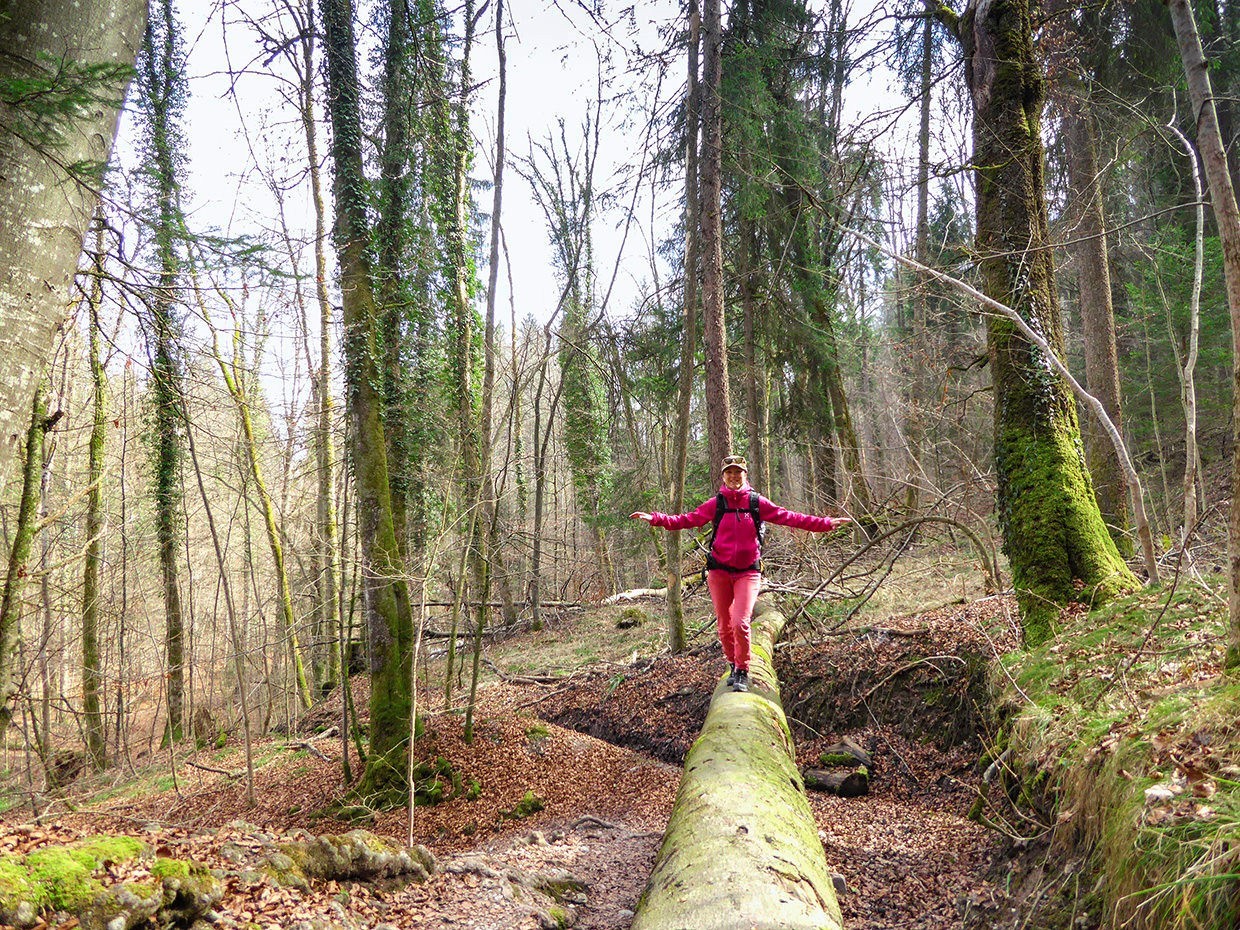 Un moment de détente dans la forêt «à l’abandon». Photos: Mia Hofmann