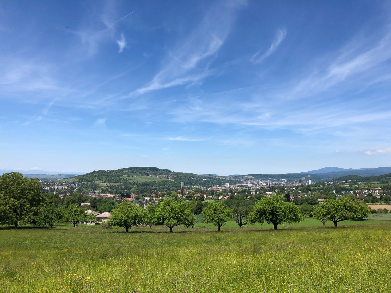 Vue sur le Mont Tüllinger, en Allemagne. Photos: Thomas Gloor