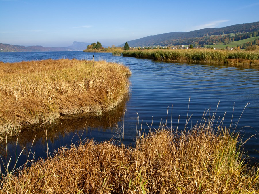 Vue sur le lac de Joux jusqu’à la Dent de Vaulion, tout au bout du lac.