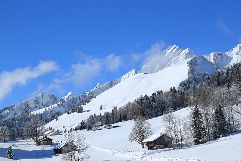 Die flache Geländeschulter der Prés d’Albeuve. Darüber die schönen, weiten Alpweiden unterhalb des Dent de Lys.